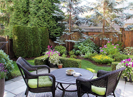 Small patio with chairs and plenty of plants