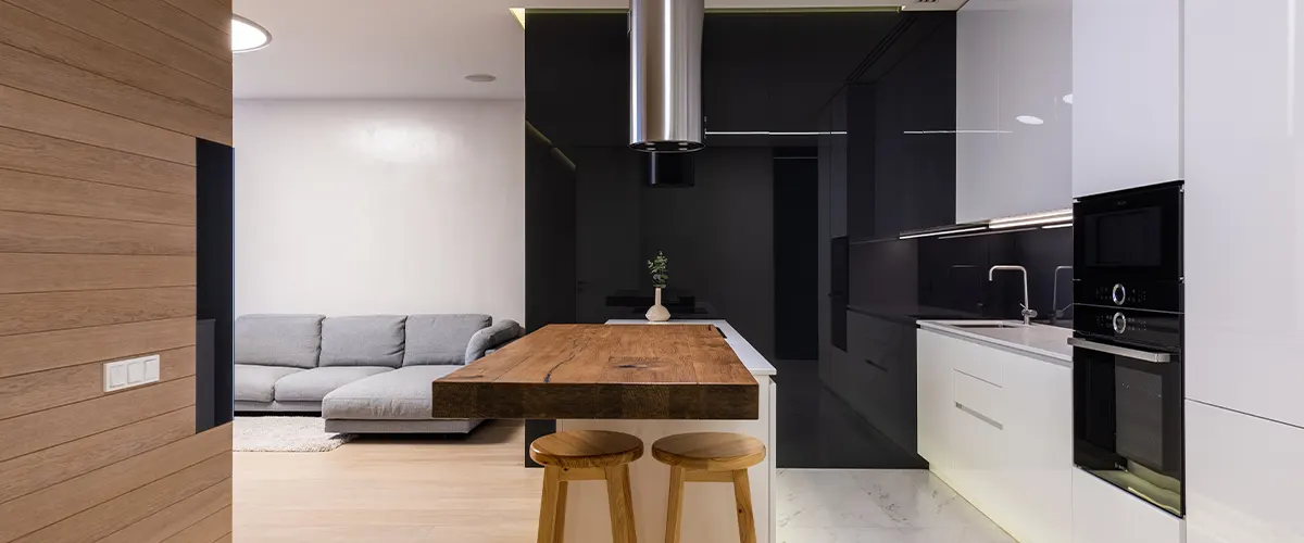 open space modern apartment
