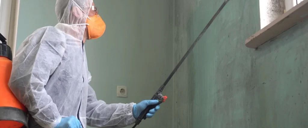 A mold remediation expert in a white protective suit, orange respirator mask, and blue gloves uses a long spray wand to apply treatment to a mold-affected green wall, with a window and visible mold growth in the corner, demonstrating professional mold removal